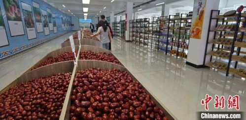 京津冀联接东北地区规模最大农产品冷链物流产业园开园 打通国际物流新通道